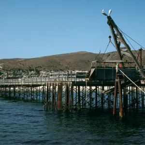 Santa Rosa Island, ranch pier, Beechers Bay