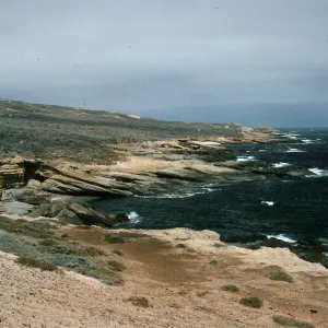 San Nicolas Island, Northwest shore