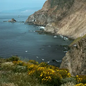 Middle Anacapa Island, view of South side & Cat Rock