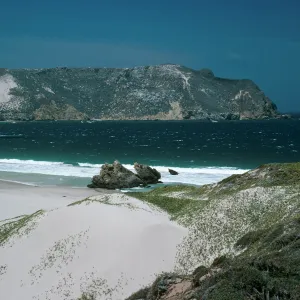 San Miguel Island, Cuyler Harbor