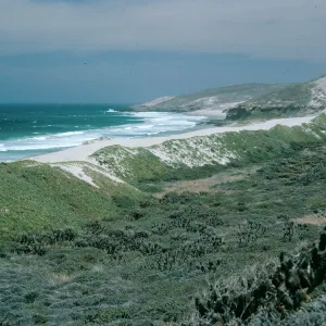 San Miguel Island, Cuyler Harbor, dunes, East of Cañada Del Mar