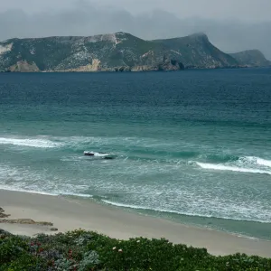 San Miguel Island, beach at Cuyler Harbor