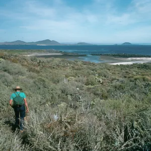 San Martin Island, Reid Moran, South end of trail to Picacho
