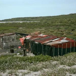 San Martin Island, fishing village, Hasslers Cove (Cakile)