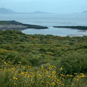 San Martin Island, Encelia, view of lagoon, trail to crater