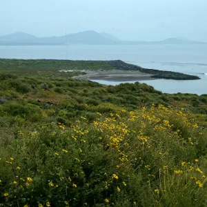 San Martin Island, Encelia, view of lagoon