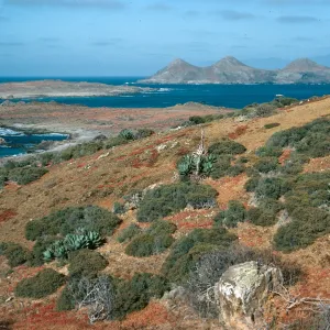 Looking from West San Benito Island towards Middle and East San Benito Islands