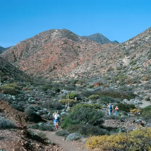 Cedros Island, mouth of Cañada de la Mina