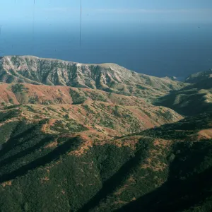 Willows Canyon, Santa Cruz Island
