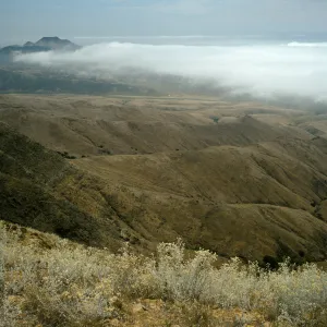 fog over Christy barn, trail to marker “John”, Santa Cruz Island