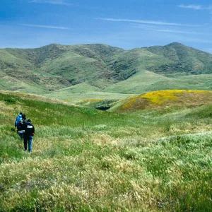 near Chumash House pits, West end, Santa Cruz Island