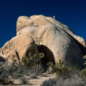 rock climbers, Belle Campground, Joshua Tree National Park