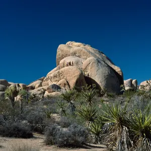 rock climbers, Belle Campground, Joshua Tree National Park