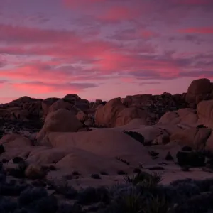 sunset, Joshua Tree National Park