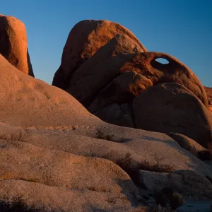 rocks, near Belle Campground, Joshua Tree National Park