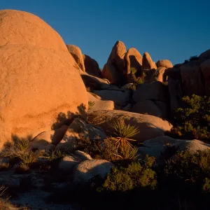 rocks, near Belle Campground, Joshua Tree National Park