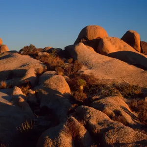 rocks, near Belle Campground, Joshua Tree National Park