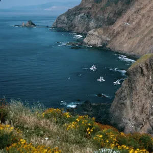 view of South side & Cat Rock, Middle Anacapa Island