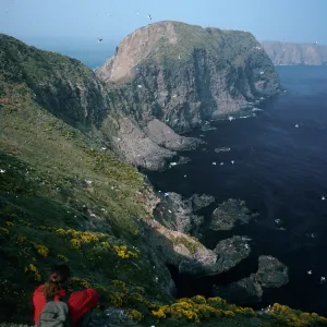 David Rosen, overlooking East Fish Camp, Middle Anacapa Island