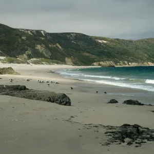 Cuyler Harbor, San Miguel Island