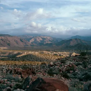 Torute Bowl Trail, Bow Willow, Anza Borrego