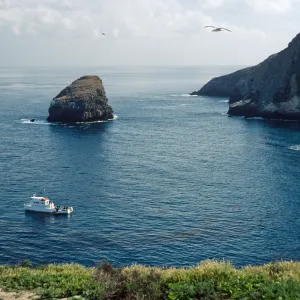 dive boat, North end, Santa Barbara Island