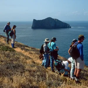 West side, Sutil Island, Santa Barbara Island