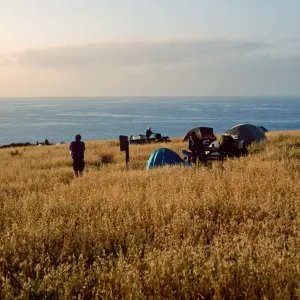 campground, Santa Barbara Island
