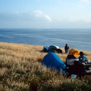 campground, Santa Barbara Island