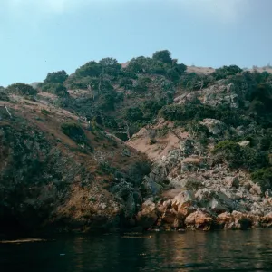 rock slide, Pelican/Prisoners Trail, Santa Cruz Island