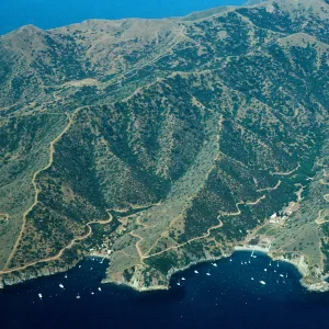 4th of July & Cherry Coves, Santa Catalina Island