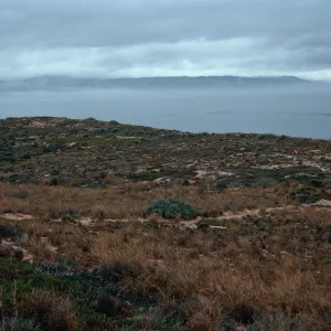 dunes at end of Spur Road, Vandenberg AFB