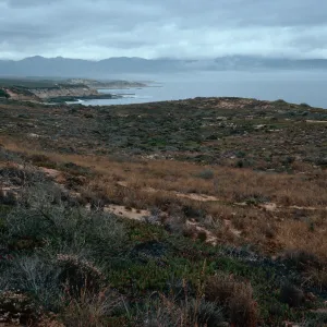 dunes at end of Spur Road, Vandenberg AFB