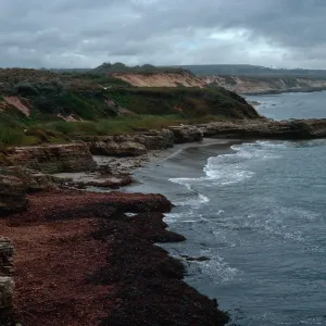 coastline, end of Spur Road, Vandenberg AFB