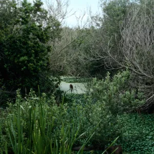 San Antonio Creek, Vandenberg AFB
