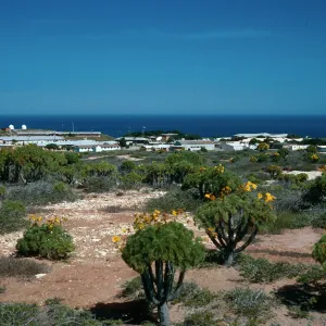 living compound, San Nicolas Island