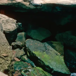 Killerwhale Cave entrance, San Nicolas Island