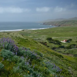 Christy Ranch, Santa Cruz Island