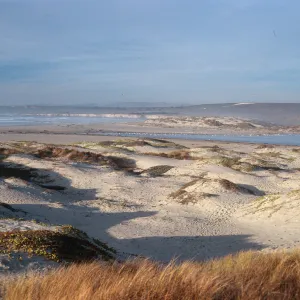dunes at surf, looking North