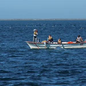 Watching Grey Whales, San Ignacio Lagoon, Baja