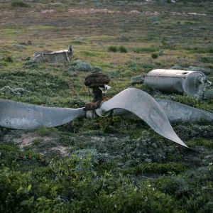 plane wreck, East side of Green Mountain, San Miguel Island