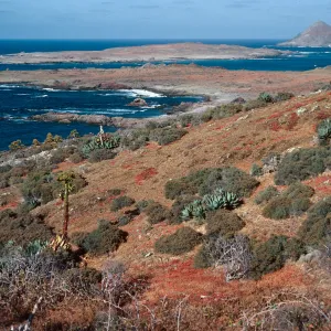 North side of West San Benito Island, looking towards Middle and East San Benito Islands