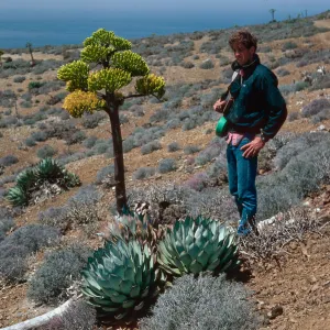 Craig Harris and Agave sebastiana, West San Benito Island