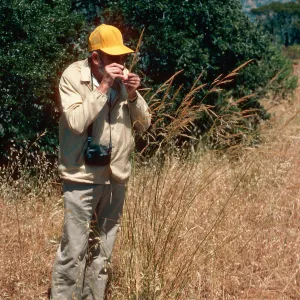 Stan Davis, Stipa diegoensis, South ridge, Santa Cruz Island