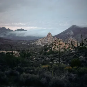 Sierra San Luis reserve, Baja