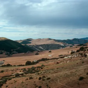 Pine Corral Potrero, looking West, Santa Barbara County