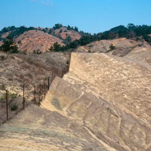 sheep damage, upper Laguna - upper Sauces Road, Santa Cruz Island