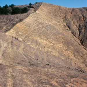 sheep damage, upper Laguna - upper Sauces Road - looking North, Santa Cruz Island