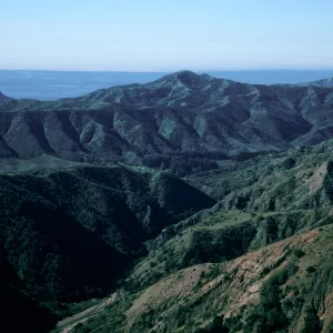 Cañada Del Puerto, Central Valley, Santa Cruz Island