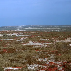 23/ looking Southeast from Benchmark Δ 818, 65-210 & SN-127